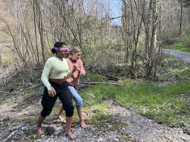 Wasndelzeitzyklus_Dia6