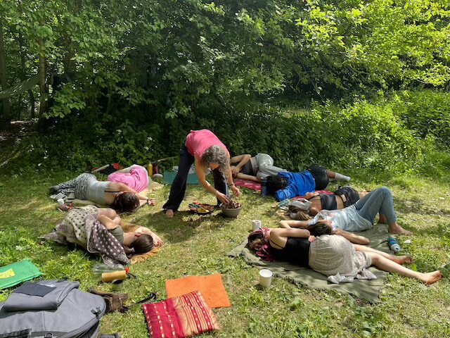 Wasndelzeitzyklus_Dia8