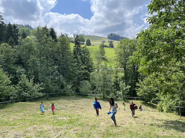 Wasndelzeitzyklus_Dia9